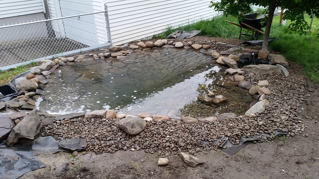 20140522_085845-XL.jpg