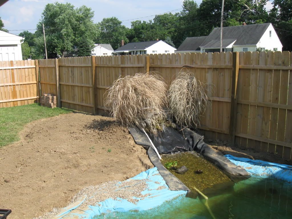 IMG_0664.jpg