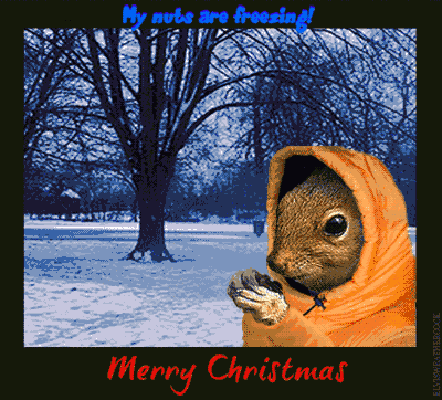 nuts-are-freezing.gif