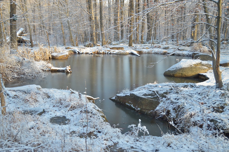 DSC_0337-L.jpg