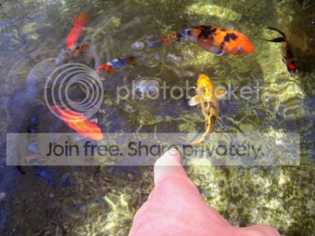100_4582.jpg