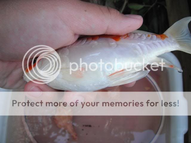DSCF0307.jpg