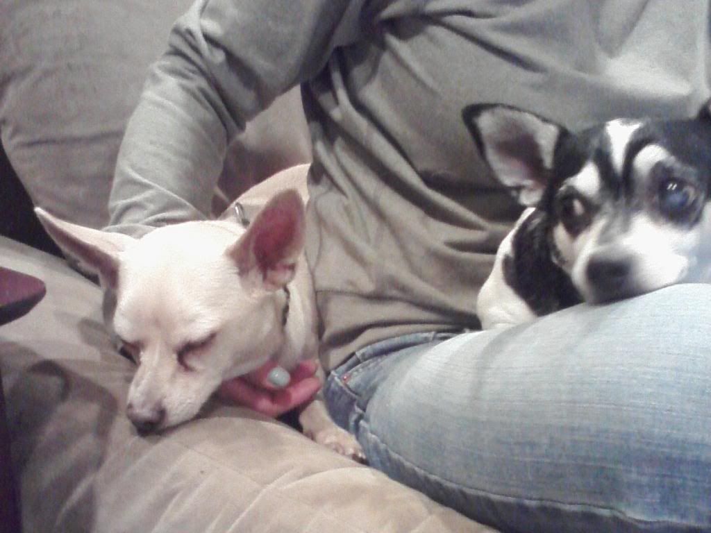 Image11262012185931.jpg