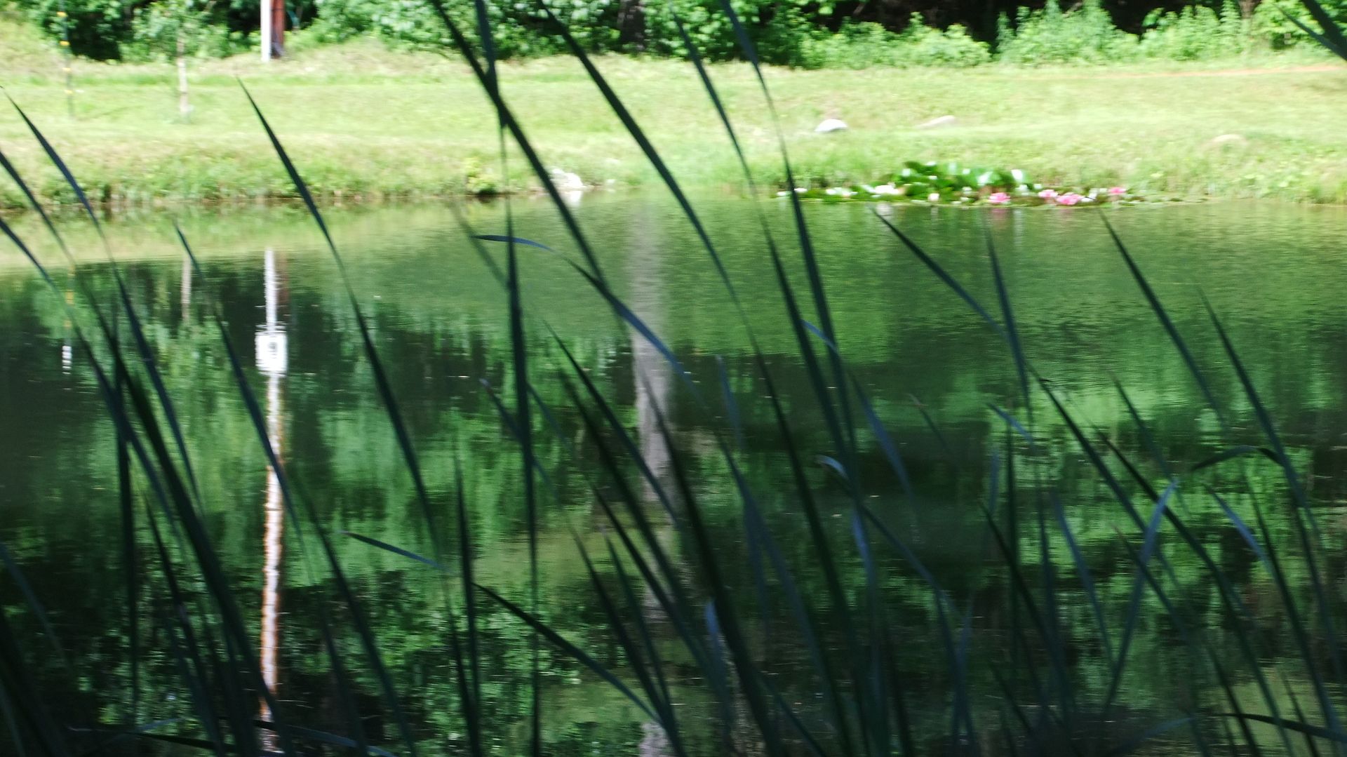 DSCF9053.jpg