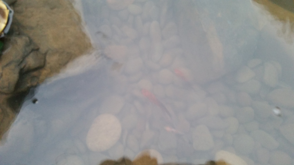 20140520_194942-XL.jpg
