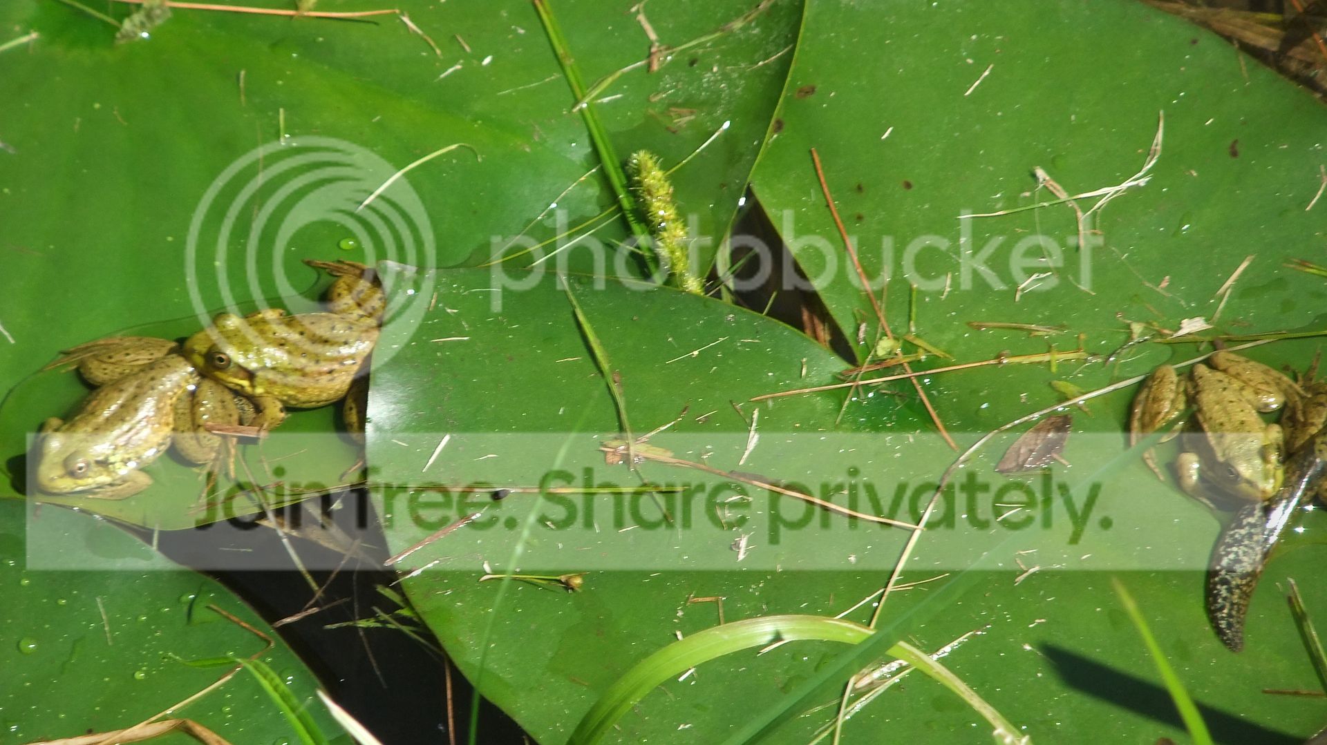 DSCF9062.jpg