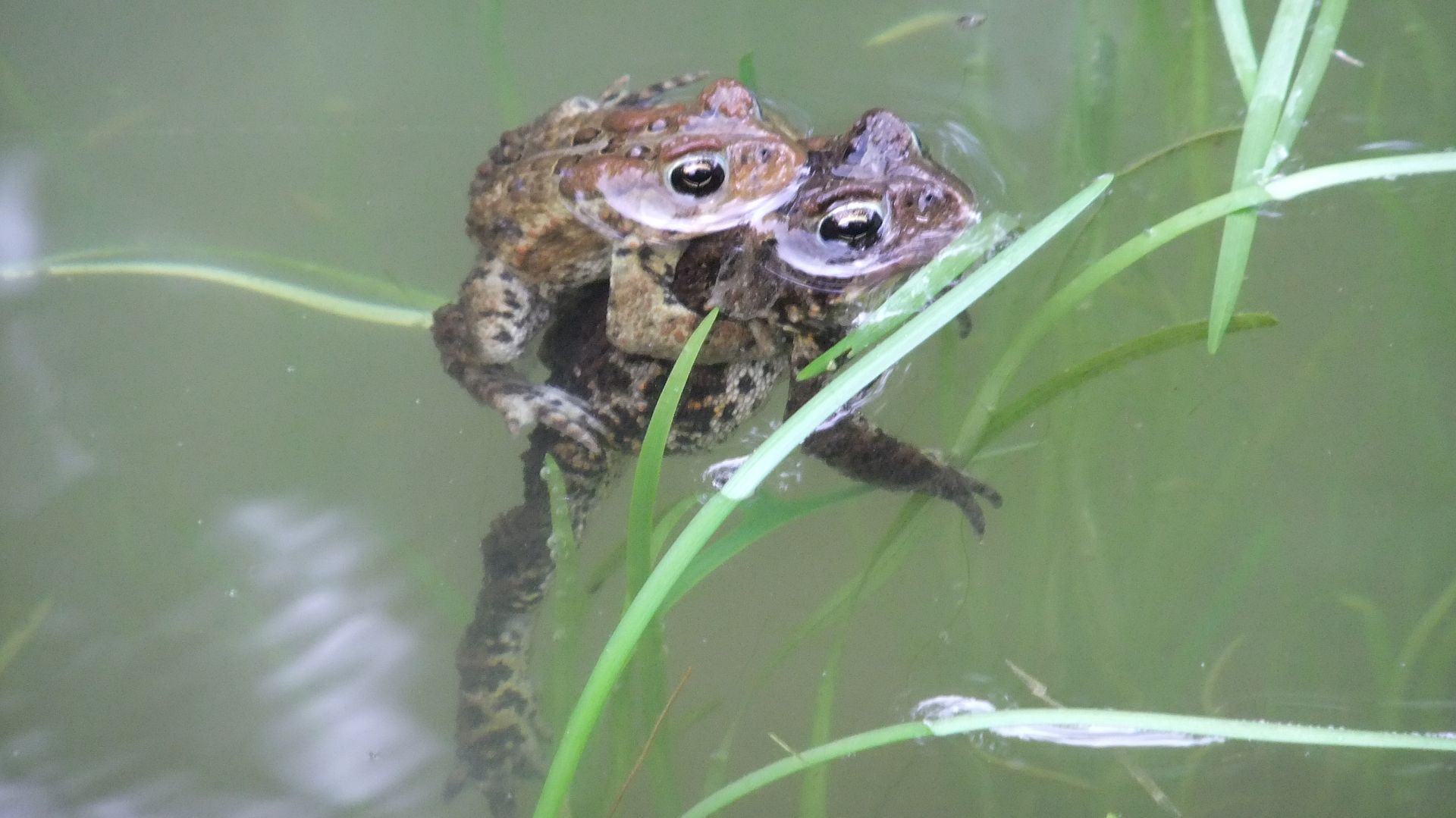 DSCF8631.jpg