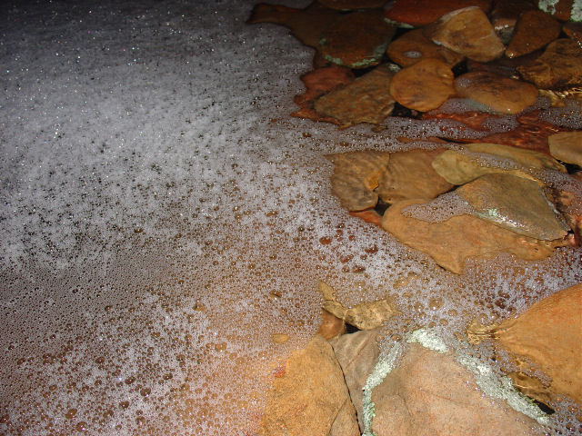 Pond20080826_Bubbles1.JPG