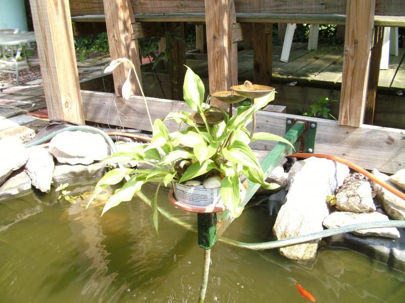 exteriors001_zps928962cd.jpg