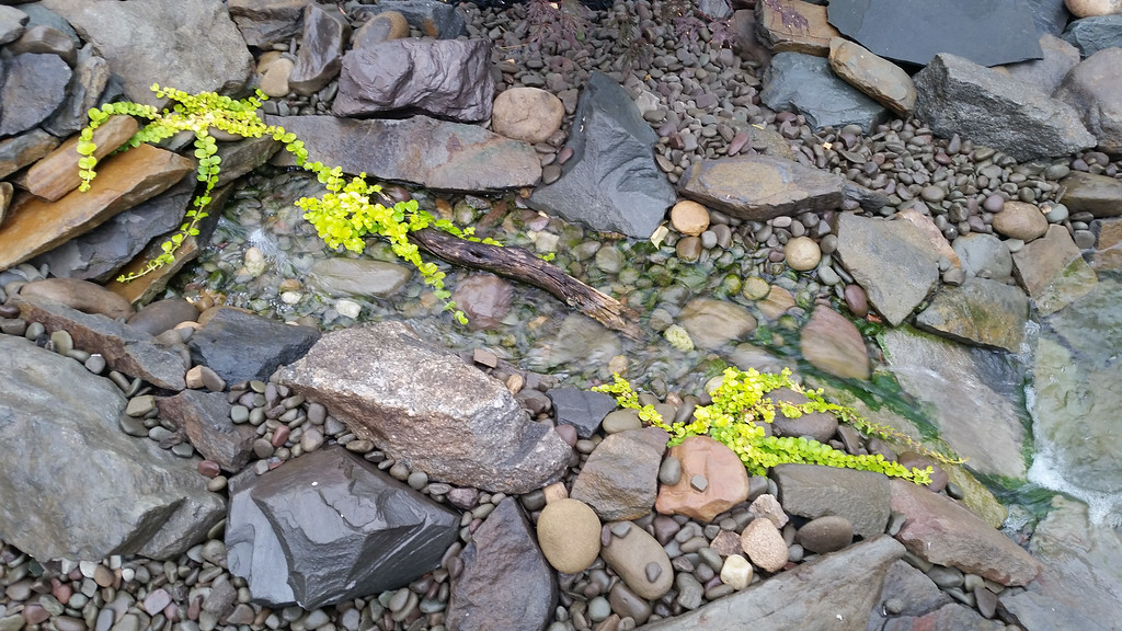20140624_083304-XL.jpg