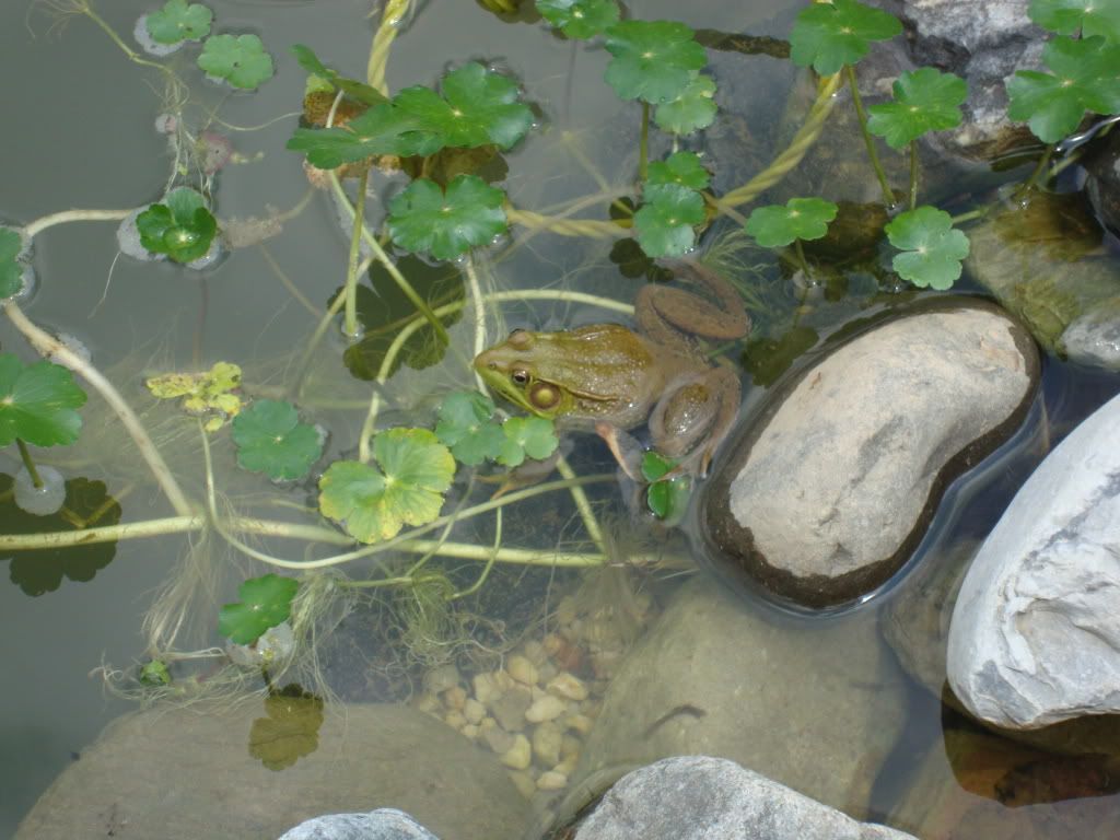 DSC01385.jpg