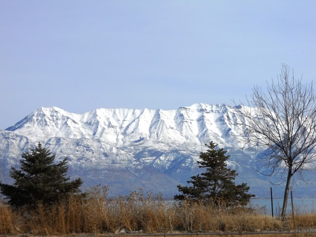 DSCN1655.jpg