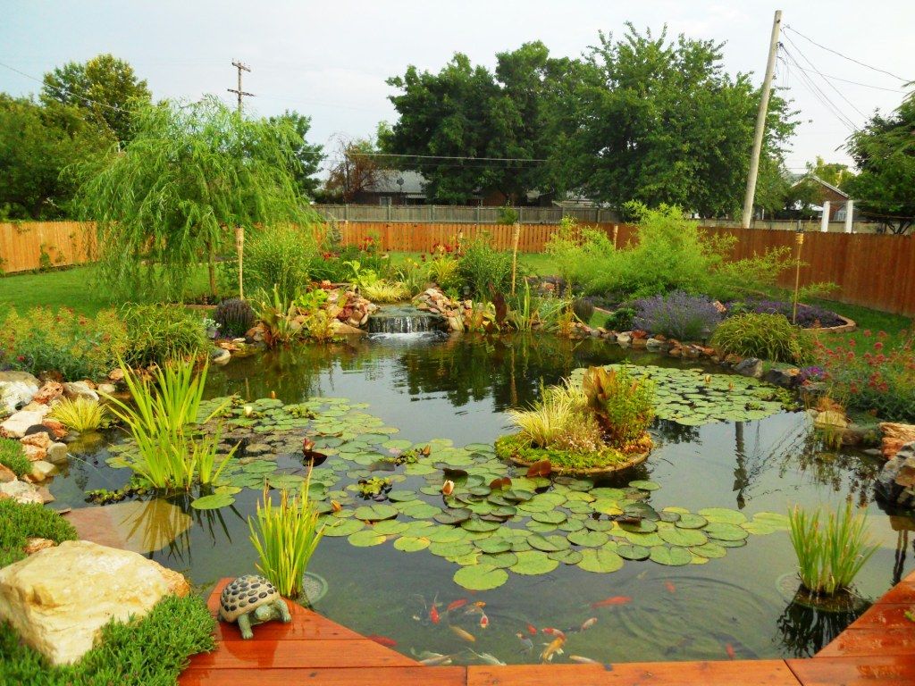 DSCN2609.jpg