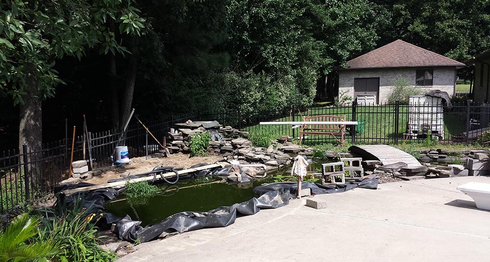 pond5.jpg