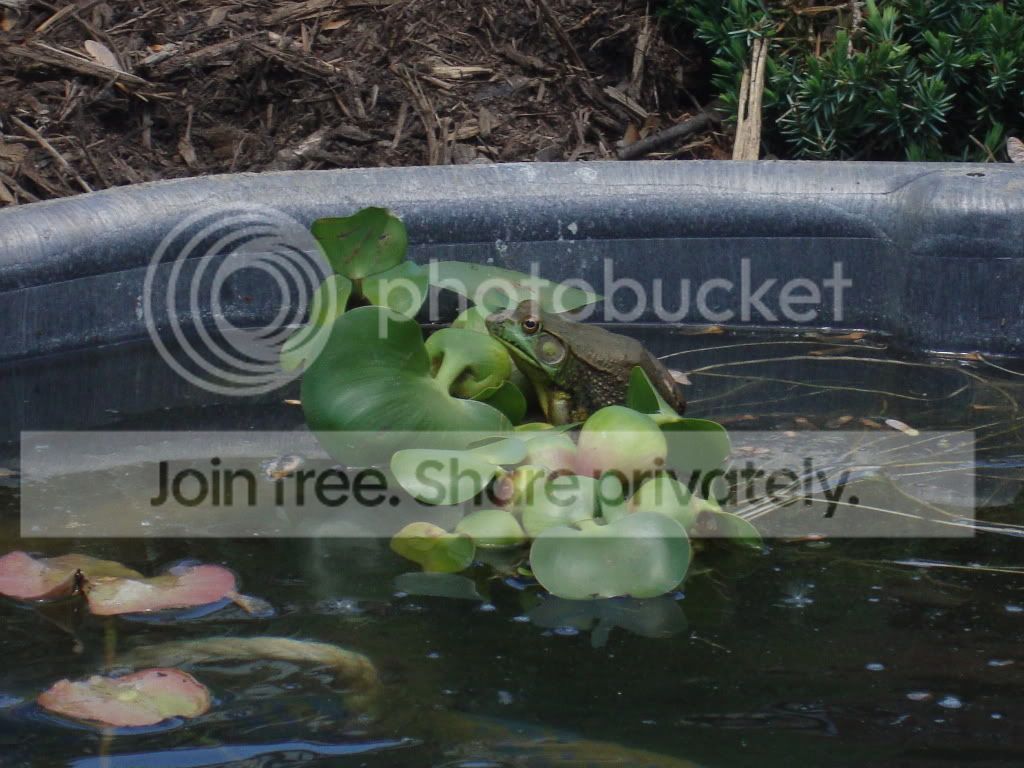 DSC01285.jpg