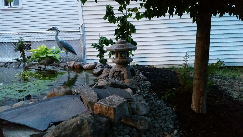 20140707_203615-XL.jpg