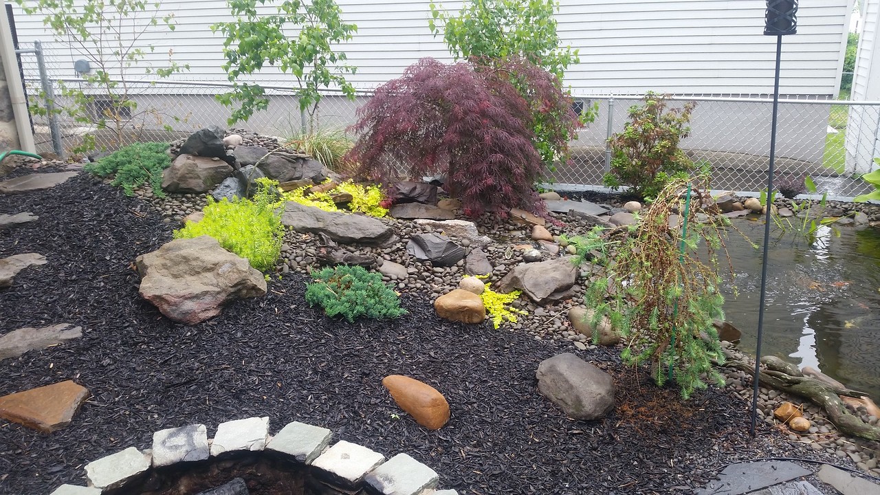 20150601_131538-X2.jpg