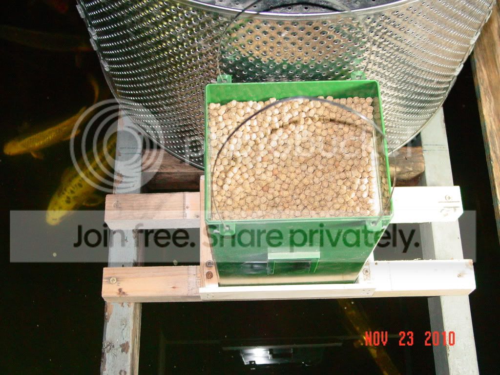 DSC01651.jpg