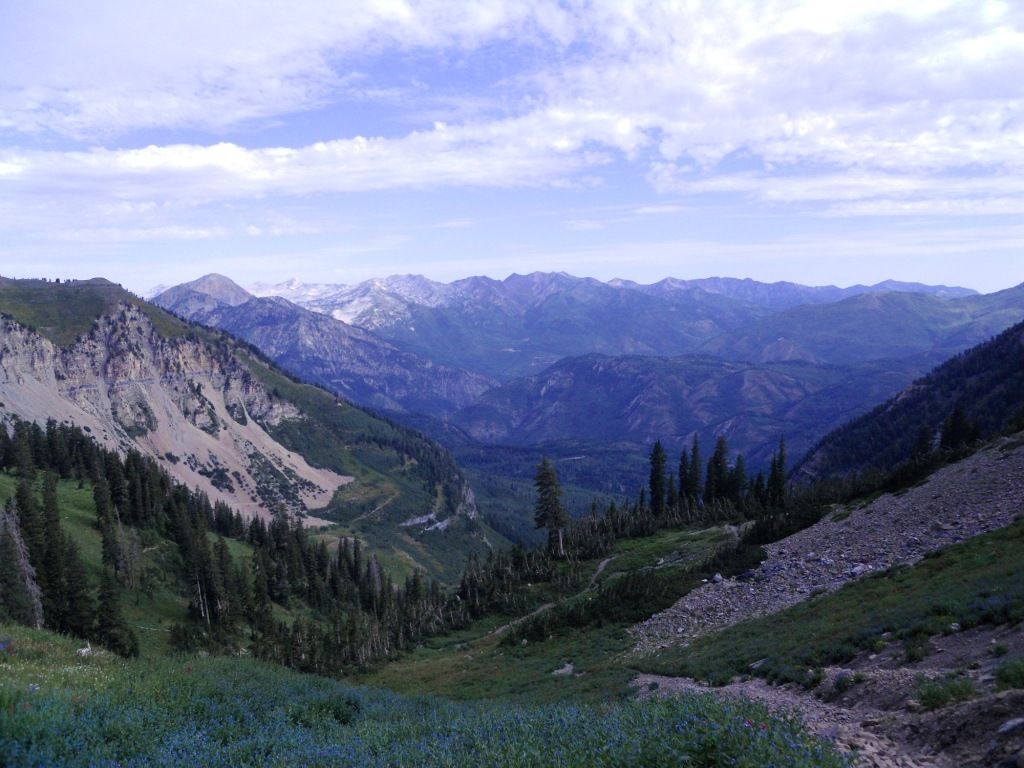 DSCN2905.jpg