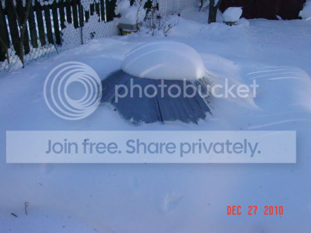 DSC01729.jpg