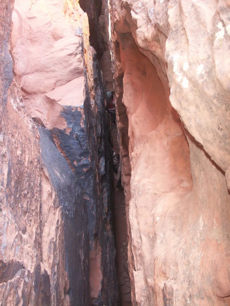 March08020.jpg