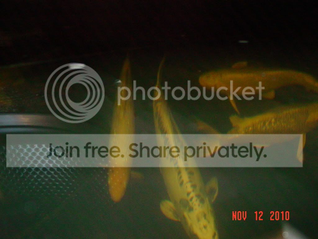 DSC01589.jpg