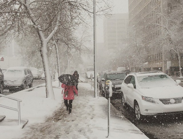 snow3_1537.jpg