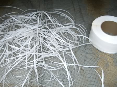 strappingonnet2.jpg