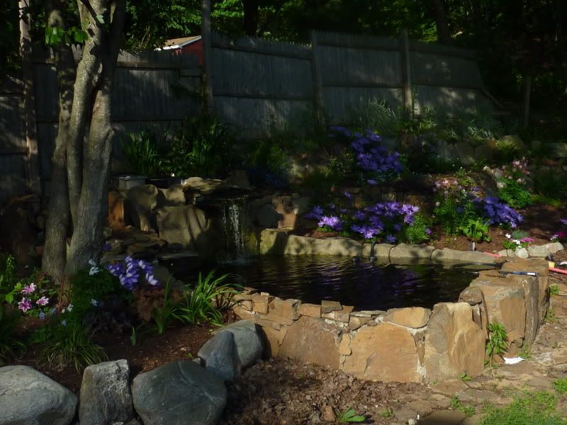 P1020565.jpg