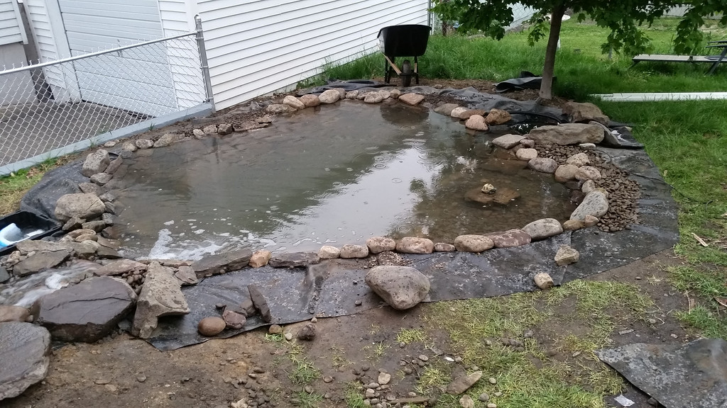 20140520_192252-XL.jpg