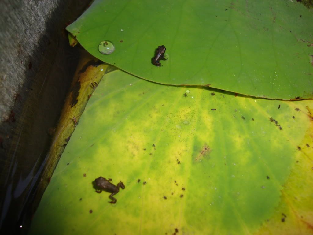 DSC02313.jpg