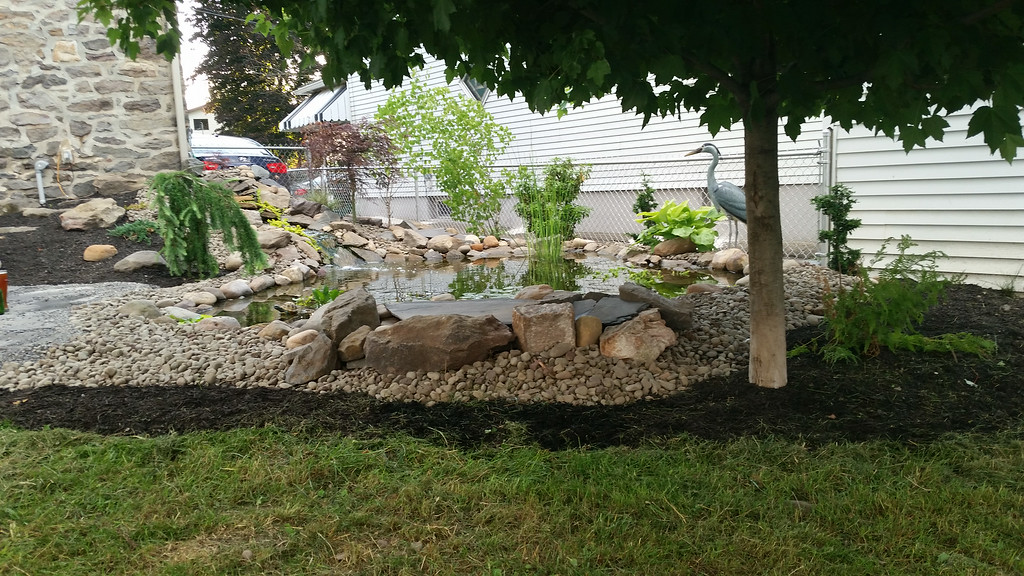 20140627_193938-XL.jpg
