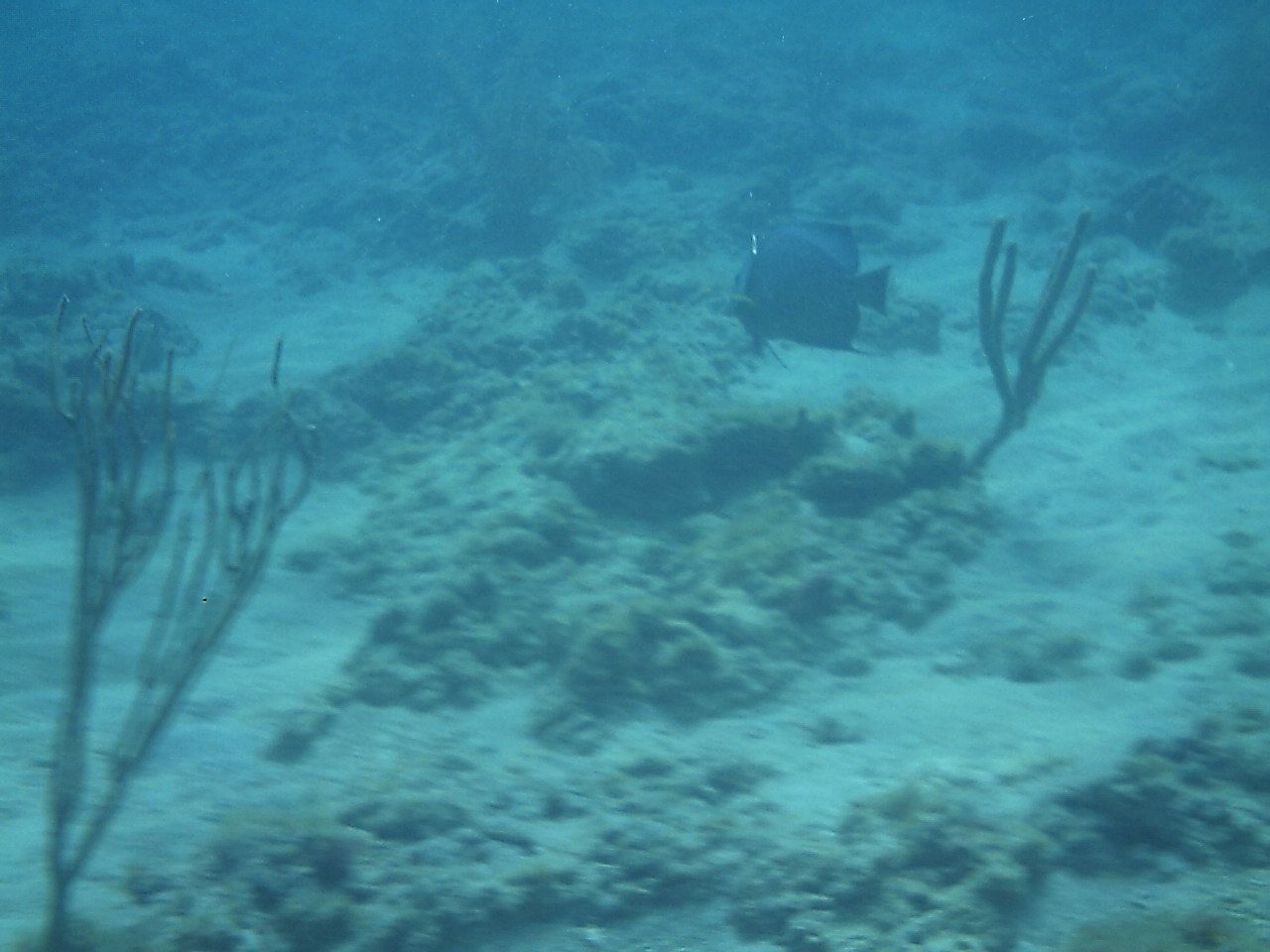 PICT0041.jpg