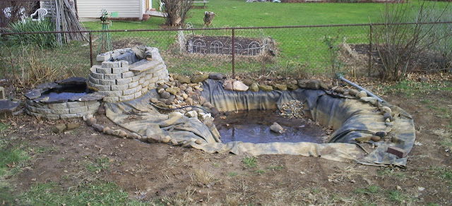 12-29-11+plan+.jpg