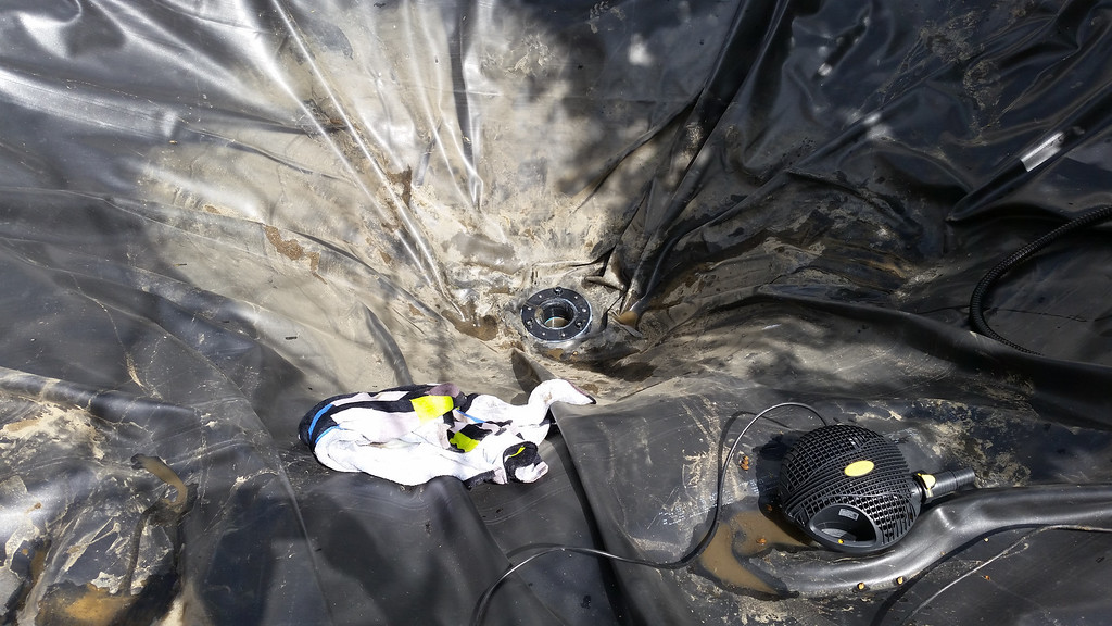 20140517_110353-XL.jpg
