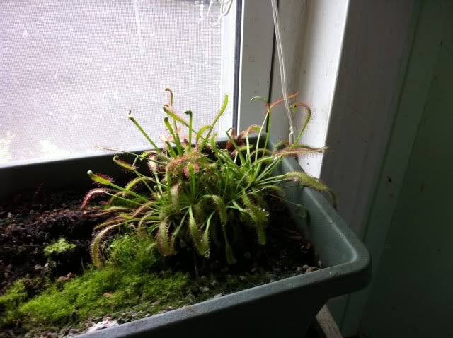 photo1-22-3.jpg