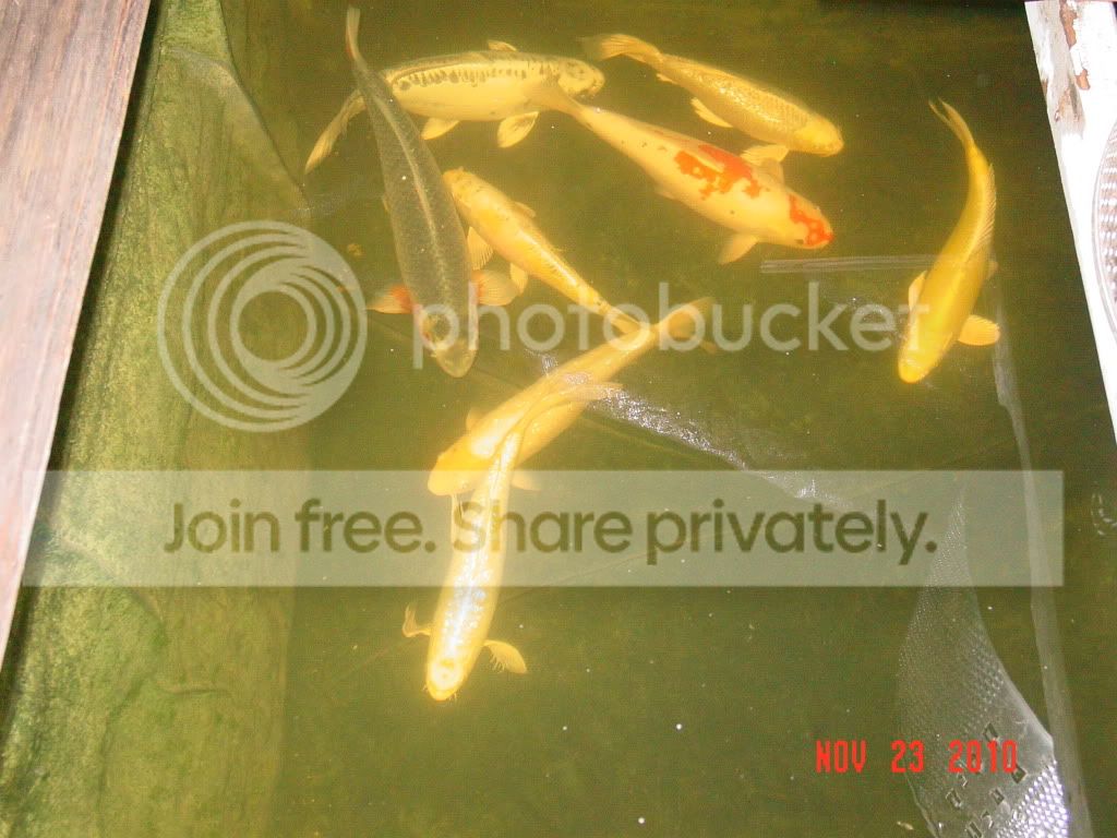 DSC01652.jpg