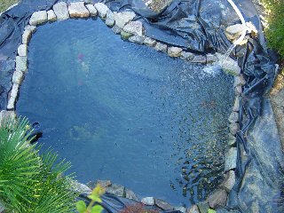 pond07s.JPG