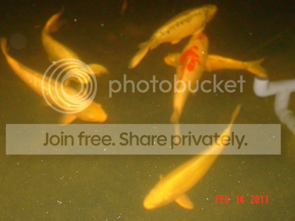 DSC01752.jpg