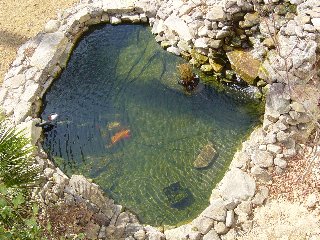 pond14s.JPG
