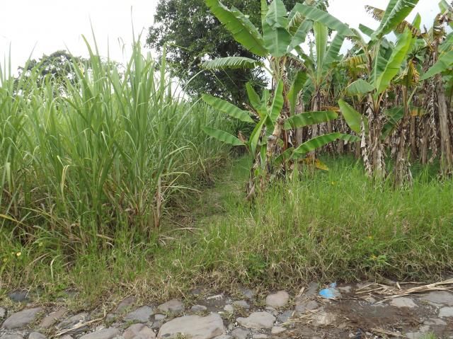 DSCF2882_zps847f7596.jpg