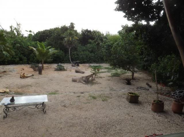 backyard1001_zps5d182ad7.jpg