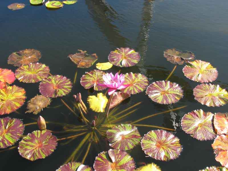 111116_IMG17.jpg