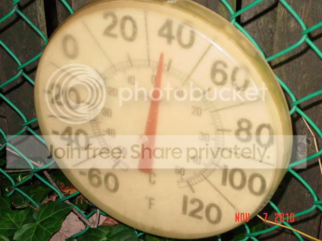 DSC01587.jpg