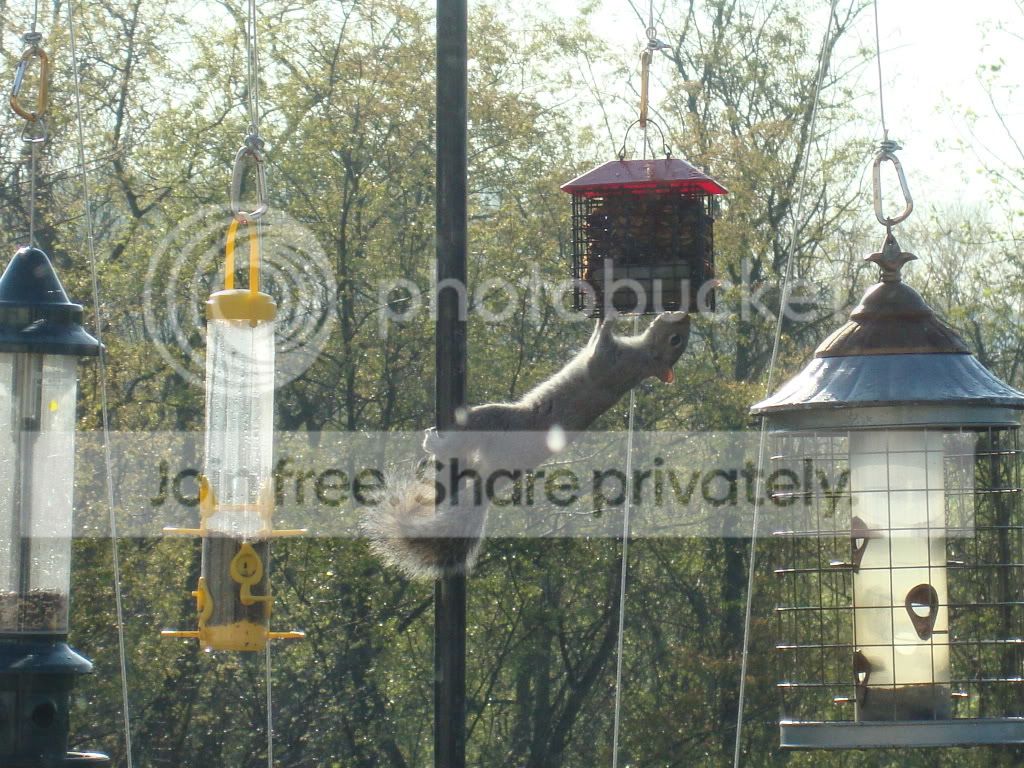 DSC01232.jpg