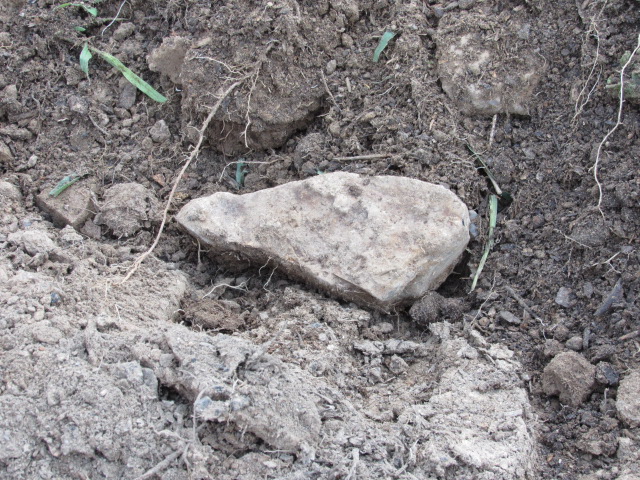 ZfeBWIg.jpg