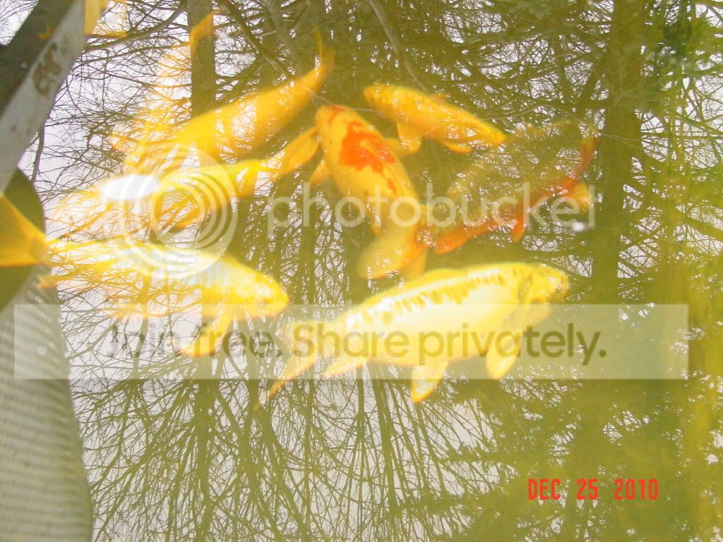 DSC01682.jpg