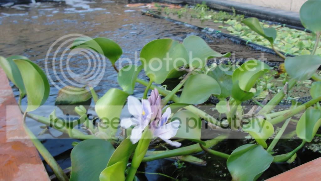 DSC00954.jpg