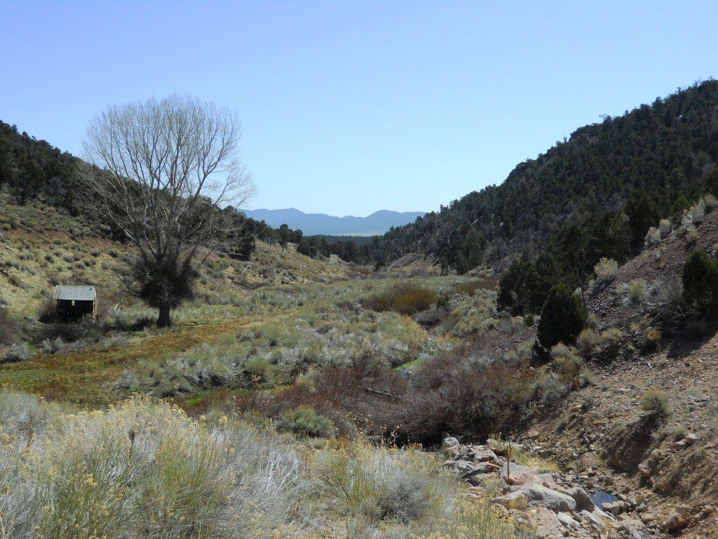 DSCN1851.jpg