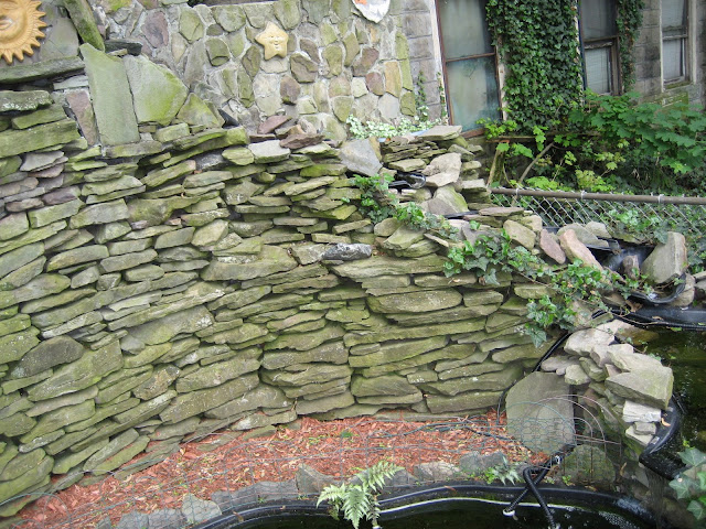 backyard%20012.jpg
